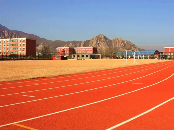 山南地区塑胶弹性面层学校塑胶跑道 - 推荐